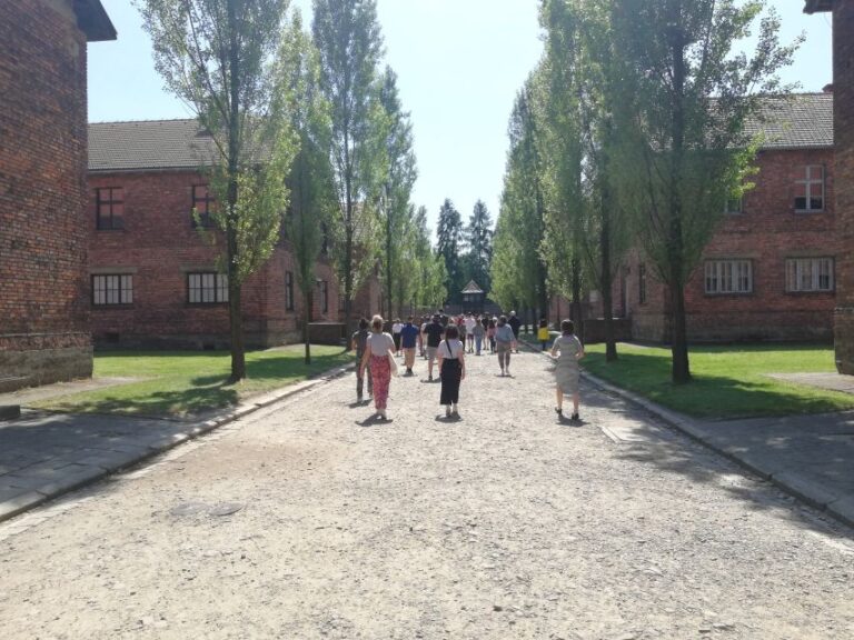 From Krakow: Auschwitz-Birkenau Self-Guided With Guidebook