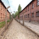 1 from krakow auschwitz birkenau tour with transportation 3 From Krakow: Auschwitz Birkenau Tour With Transportation