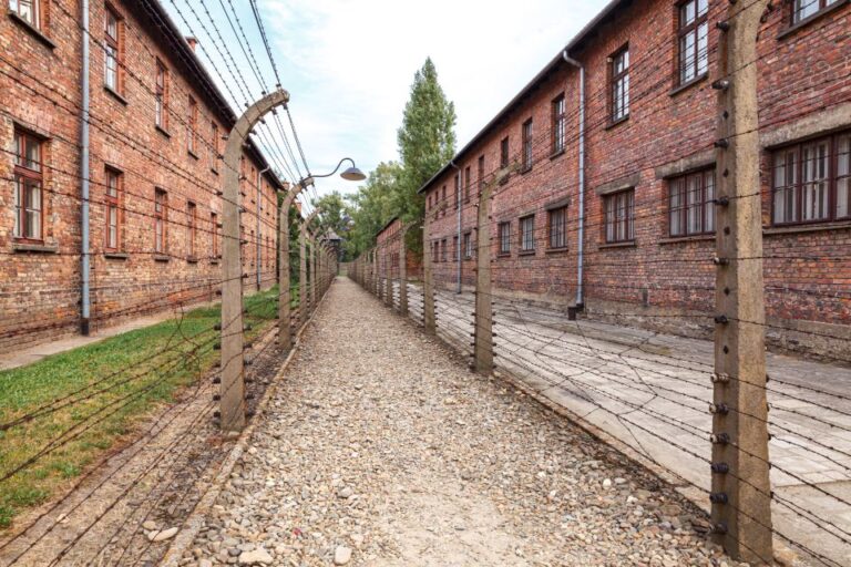 From Krakow: Auschwitz Birkenau Tour With Transportation