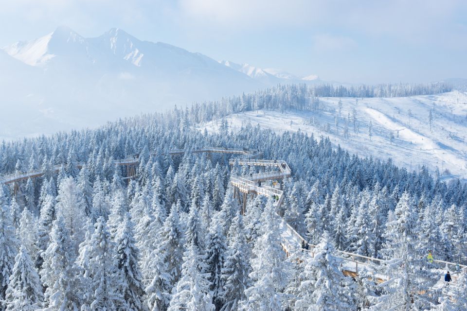 1 from krakow slovakia treetop walk 4 hour ski pass From Kraków: Slovakia Treetop Walk & 4-Hour Ski Pass