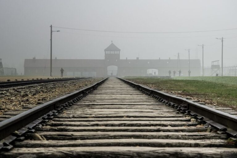 From Krakow: Transport & Self-Tour of the Auschwitz-Birkenau
