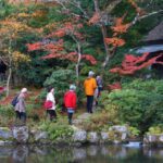 1 from kyoto or osaka private walking tour through nara 2 From Kyoto or Osaka: Private Walking Tour Through Nara