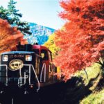1 from kyoto sagano train ride and guided kyoto day tour From Kyoto: Sagano Train Ride and Guided Kyoto Day Tour