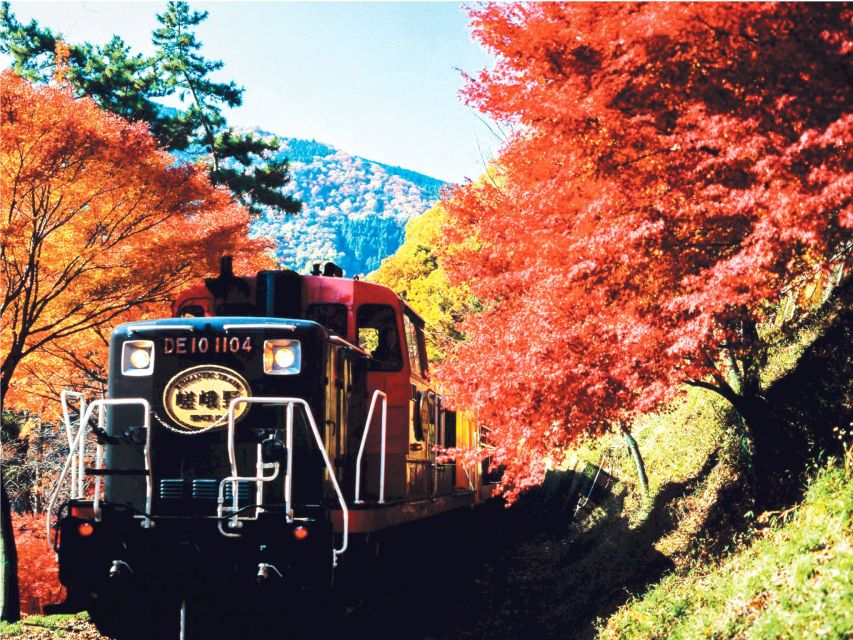 1 from kyoto sagano train ride and guided kyoto day tour From Kyoto: Sagano Train Ride and Guided Kyoto Day Tour