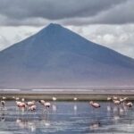 1 from la paz 2 day uyuni salt flats red lagoon by flight From La Paz: 2-Day Uyuni Salt Flats & Red Lagoon by Flight.