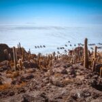 1 from la paz uyuni and andean lagoons 5 day guided trip From La Paz: Uyuni and Andean Lagoons 5-Day Guided Trip