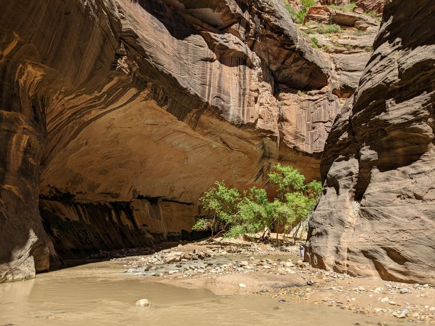 From Las Vegas: Zion National Park Small Group Adventure