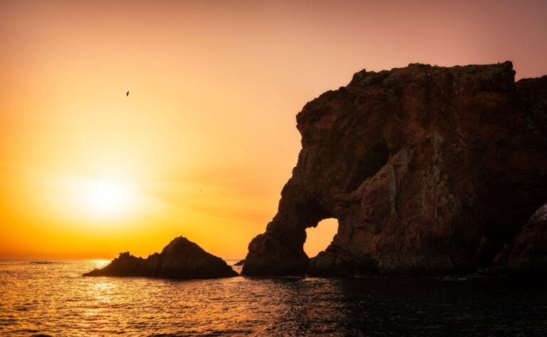 From Lisbon: Berlenga Grande Island Private Tour