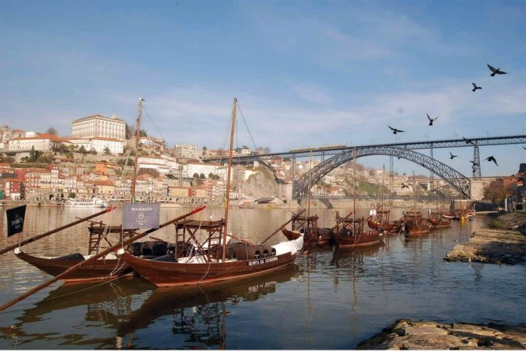 From Lisbon: Porto Full-Day Private Tour