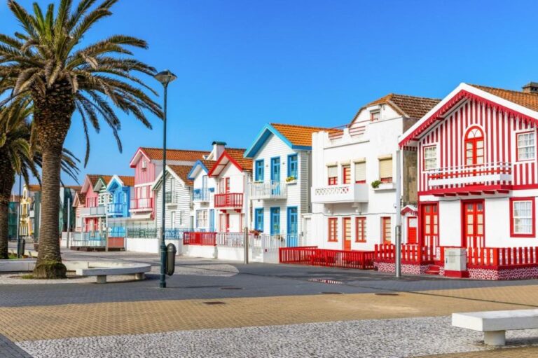 From Lisbon: Private Aveiro and Ilhavo Full Day Tour