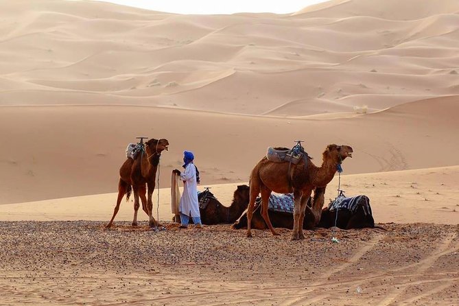 From Marrakech 3 Days 2 Nights Desert Trip to Merzouga Dunes