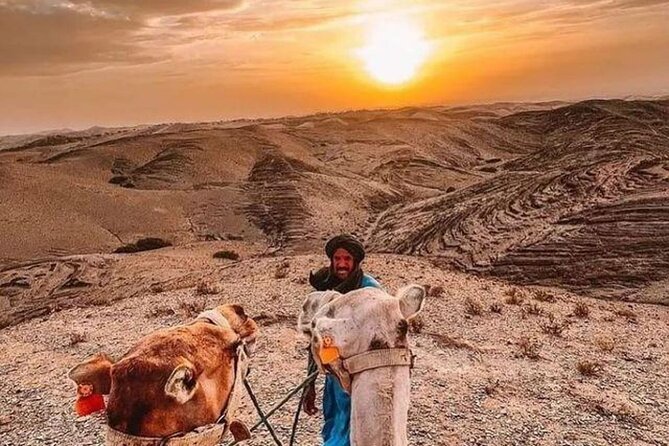 1 from marrakech agafay sunset camel ride dinner show From Marrakech: Agafay Sunset Camel Ride, Dinner, & Show