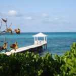 1 from miami bimini bahamas day trip w hotel pickup ferry From Miami: Bimini Bahamas Day Trip W/ Hotel Pickup & Ferry
