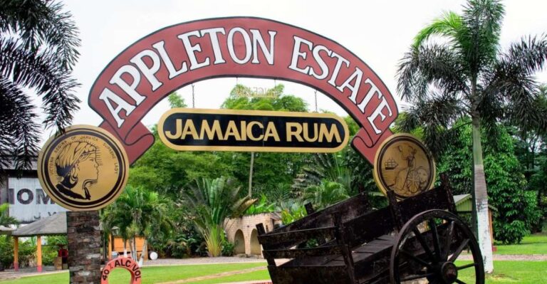 From Montego Bay: Appleton Estate & Pelican Bar Private Trip