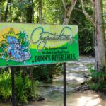 1 from montego bay dunns river falls experience From Montego Bay: Dunn's River Falls Experience