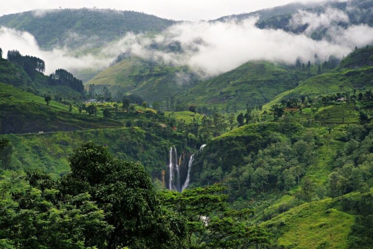 From Negombo or Colombo: 5-Day Central Highlands Tour