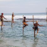 1 from negombo southern coast highlights private day tour From Negombo: Southern Coast Highlights Private Day Tour