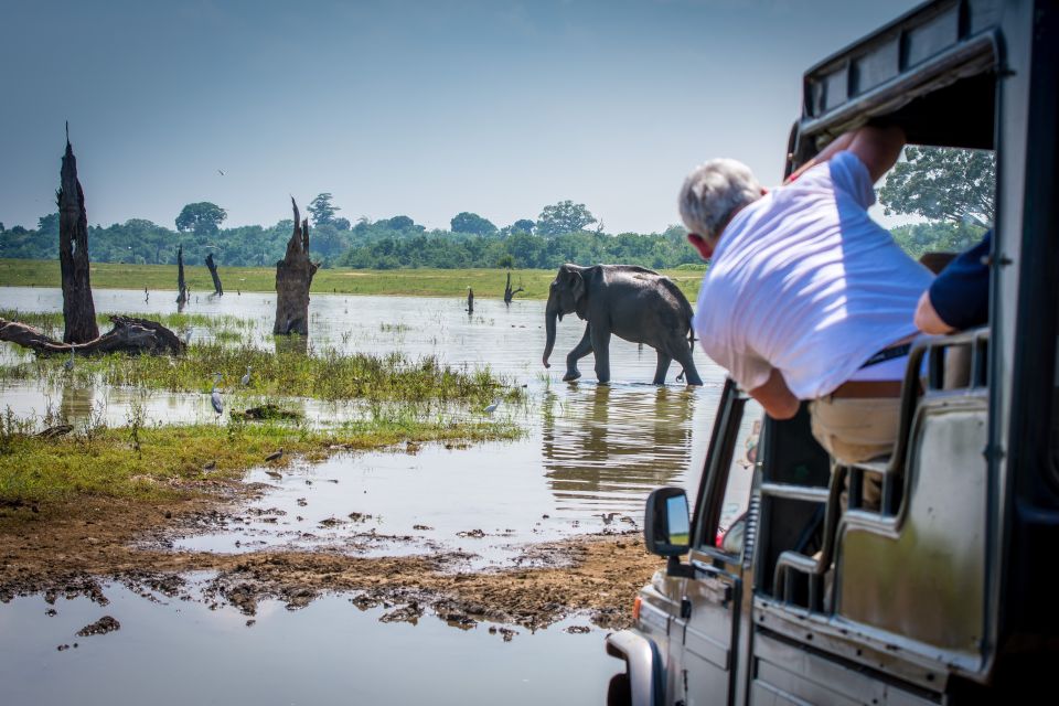 1 from negombo udawalawa national park wildlife safari From Negombo: Udawalawa National Park Wildlife Safari