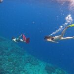 1 from nusa penida 3 spots snorkeling tour with manta rays From Nusa Penida: 3 Spots Snorkeling Tour With Manta Rays