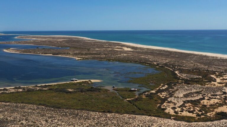 From Olhão: Ria Formosa 3-Island Full-Day Tour