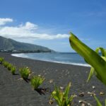 1 from papeete tahiti highlights full day private tour From Papeete: Tahiti Highlights Full-Day Private Tour