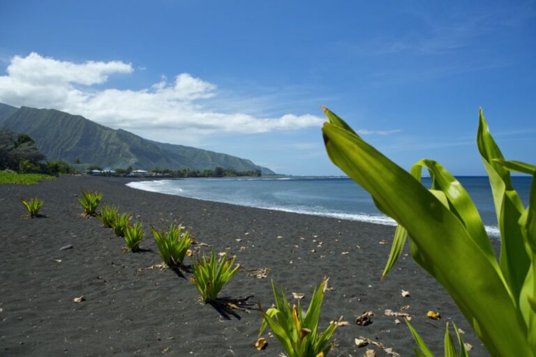From Papeete: Tahiti Highlights Full-Day Private Tour
