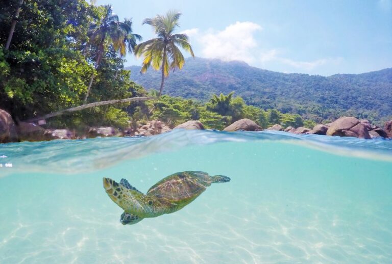 From Paraty: Shuttle To/From Abrãao Village on Ilha Grande