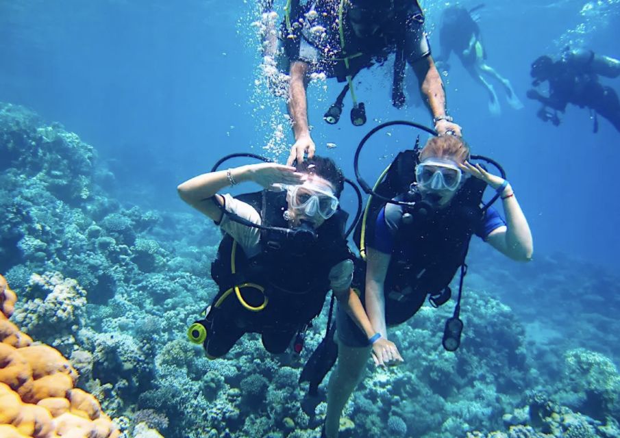 1 from pattaya snorkeling or beginner scuba diving tour From Pattaya: Snorkeling or Beginner Scuba Diving Tour