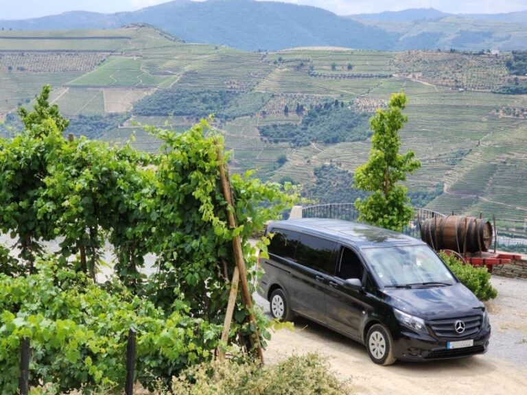 From Peso Da Régua: Visit 3 Wineries, Tasting and Viewpoint
