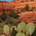 1 from phoenix full day sedona small group tour From Phoenix: Full-Day Sedona Small-Group Tour