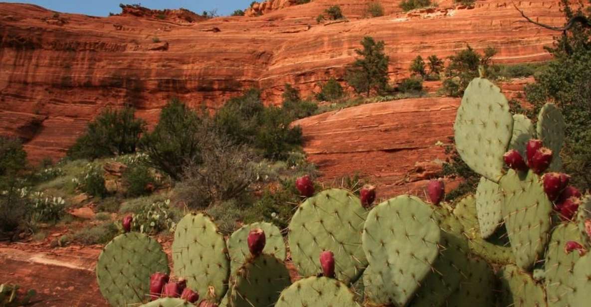 1 from phoenix full day sedona small group tour From Phoenix: Full-Day Sedona Small-Group Tour