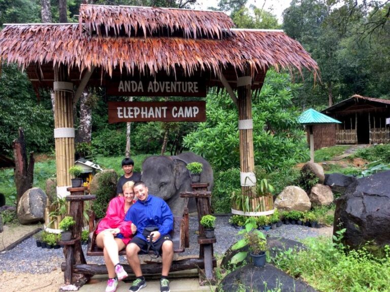 From Phuket & Khao Lak: Elephant Care With Waterfall Visit
