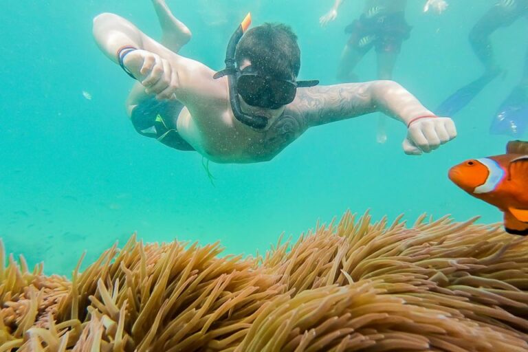 From Phuket: Phi Phi & Khai Islands Snorkeling by Speedboat