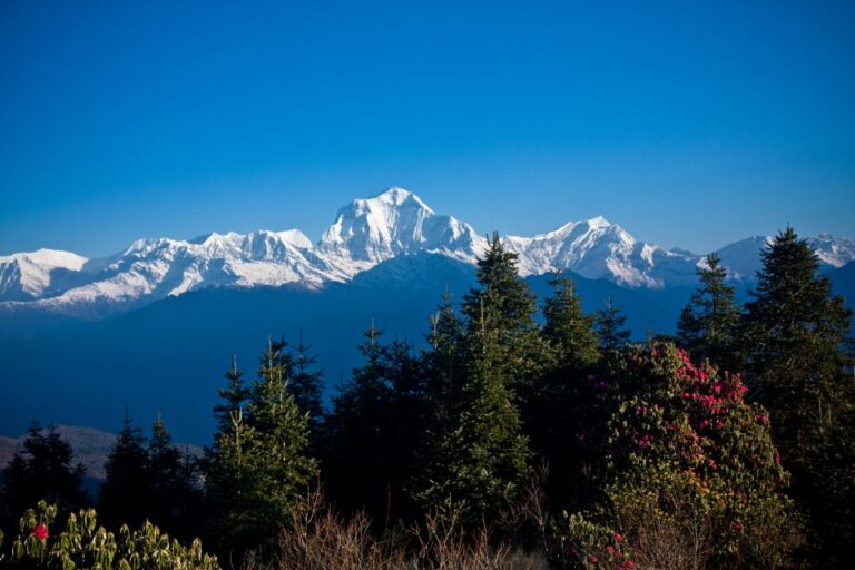 From Pokhara: Best Ghorepani Poonhill Trek – 5 Days
