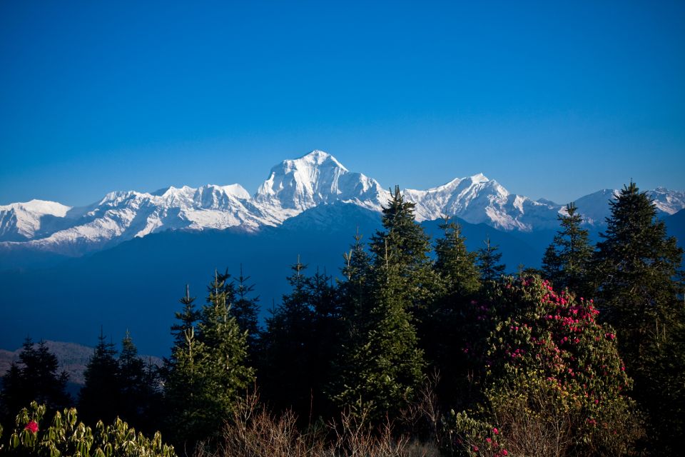 1 from pokhara best ghorepani poonhill trek 5 days From Pokhara: Best Ghorepani Poonhill Trek - 5 Days