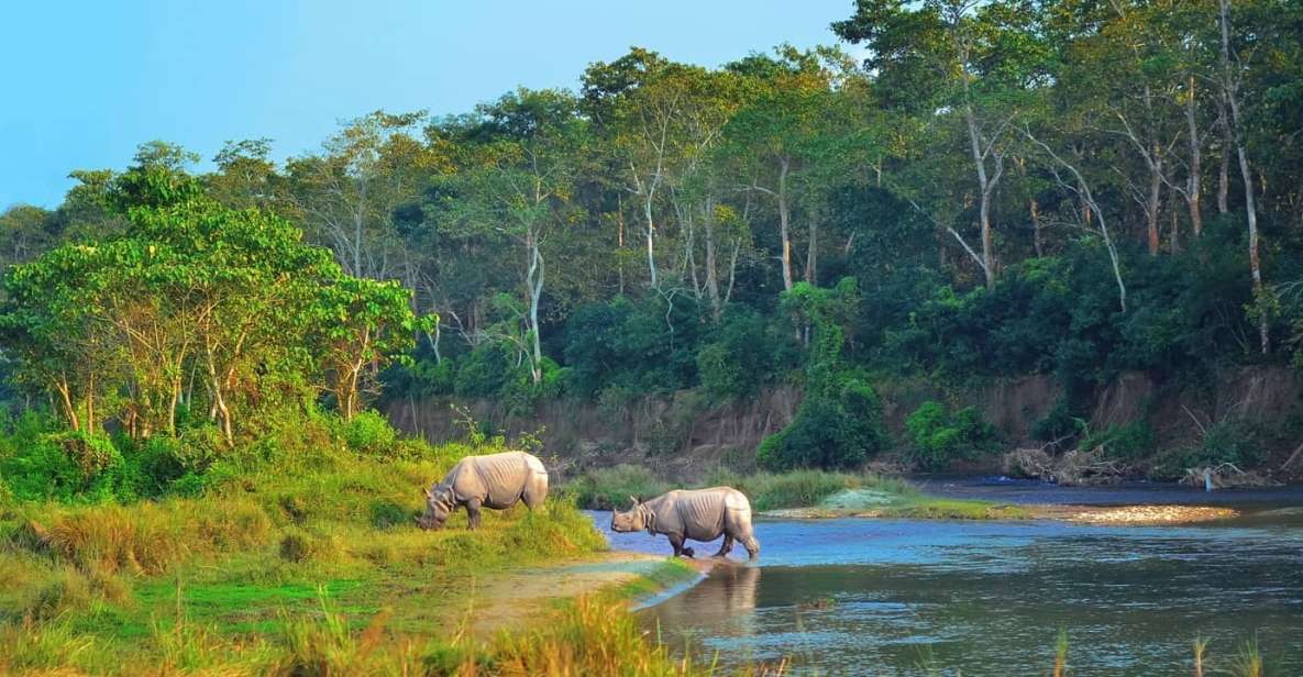 1 from pokhara private 3 day chitwan jungle safari tour From Pokhara: Private 3-Day Chitwan Jungle Safari Tour