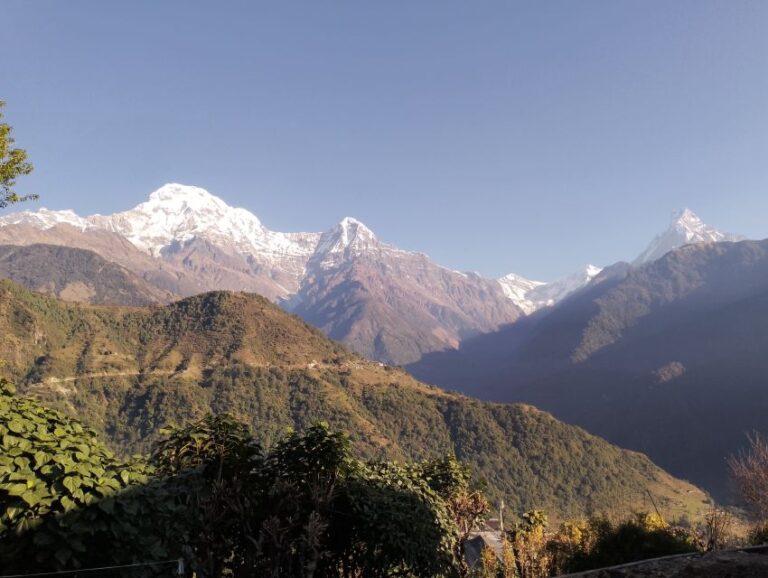 From Pokhara: Private 5-Day AnnapurnaBasecamp Trek