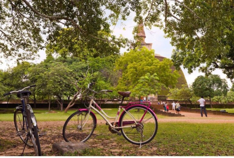 From Polonnaruwa: Ancient City of Polonnaruwa by Bike