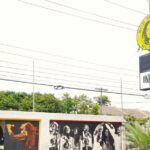 1 from port antonio bob marley museum guided tour From Port Antonio: Bob Marley Museum Guided Tour