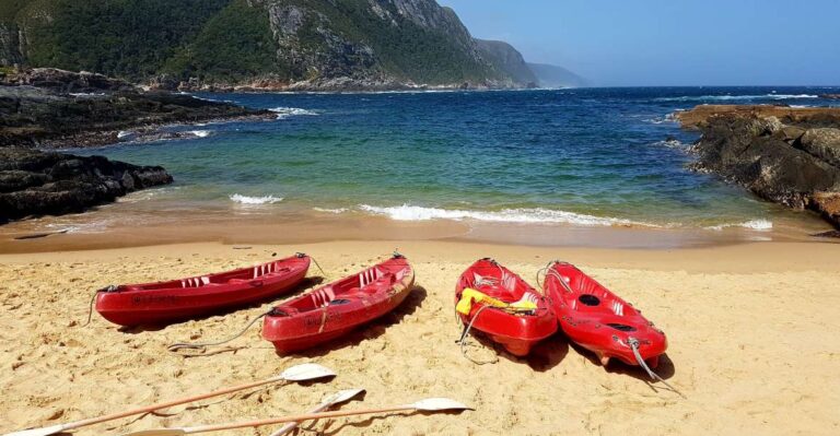 From Port Elizabeth: 5-Day Garden Route Tour to Cape Town