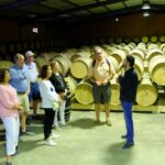 1 from porto douro region private food and wine day tour From Porto: Douro Region Private Food and Wine Day Tour