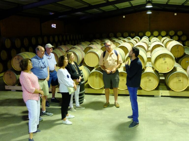 From Porto: Douro Region Private Food and Wine Day Tour