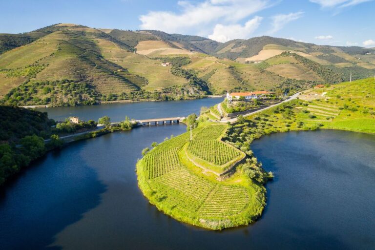 From Porto: Full-Day Douro Valley Trip and Port Wine Tasting