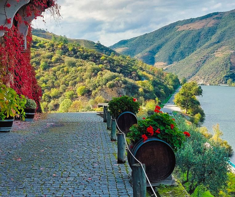 1 from porto full day douro valley wine tour From Porto: Full-Day Douro Valley Wine Tour