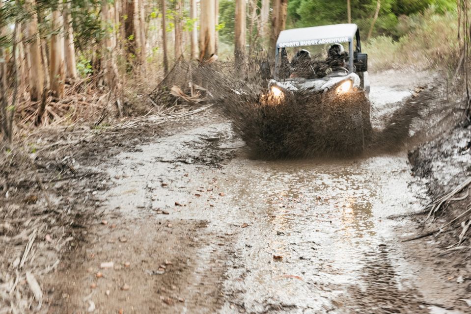 From Porto: Off-Road Buggy Adventure