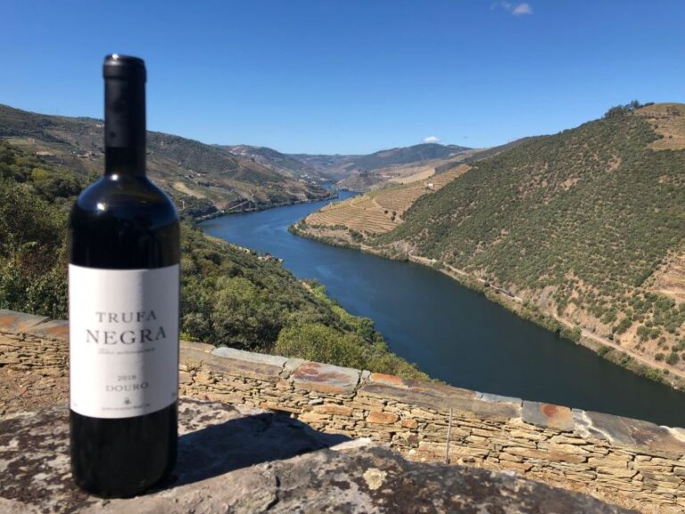 From Porto: Private Douro Valley Tour and Boat Cruise