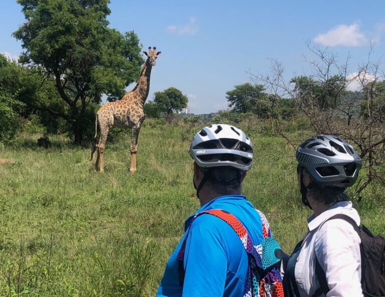 From Pretoria: E-Bike in the Wild With Game Near Jo’burg