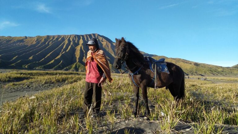 From Probolinggo: Mount Bromo Sunset Tour by Land Cruiser
