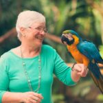 1 from puerto iguazu brazilian bird park tour with tickets From Puerto Iguazú: Brazilian Bird Park Tour With Tickets