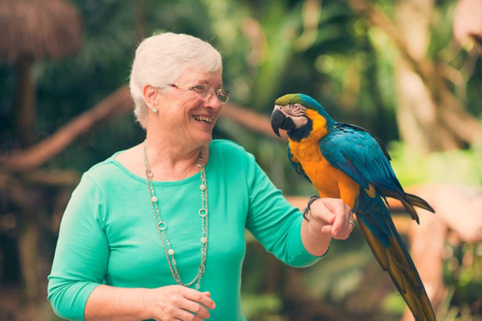 1 from puerto iguazu brazilian bird park tour with tickets 2 From Puerto Iguazú: Brazilian Bird Park Tour With Tickets